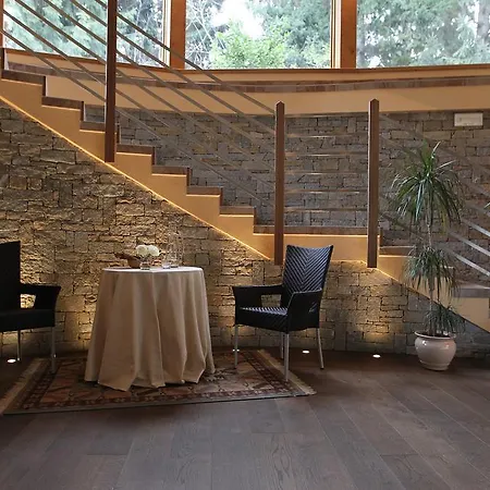 Palace Wellness & Beauty Ξενοδοχείο Μπόρμιο
