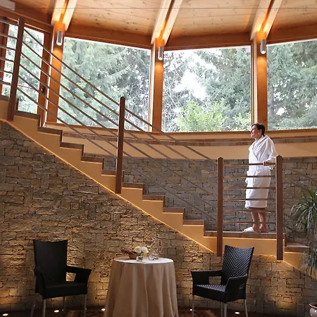 Palace Wellness & Beauty 4* Μπόρμιο