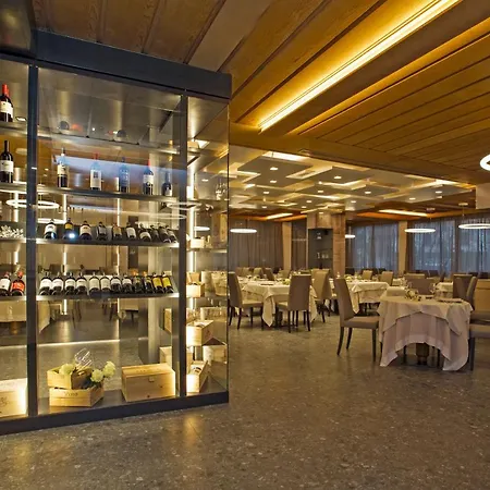 Palace Wellness & Beauty Ξενοδοχείο Μπόρμιο