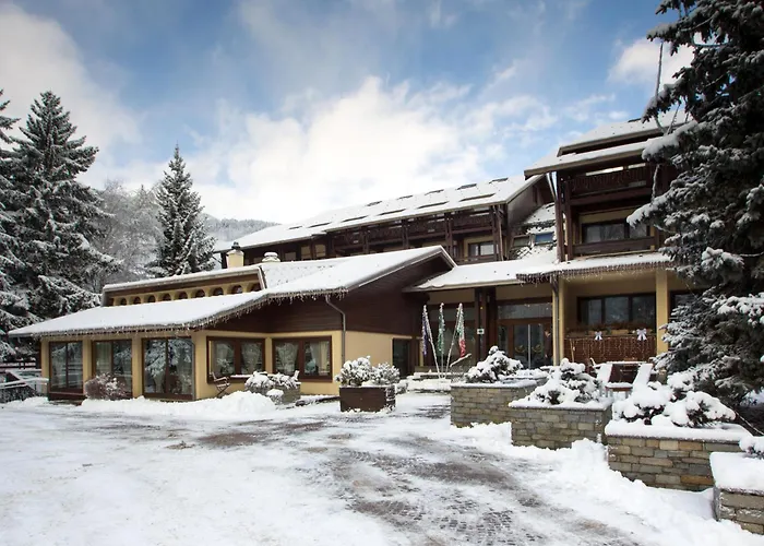 מלון Palace Wellness & Beauty בורמיו